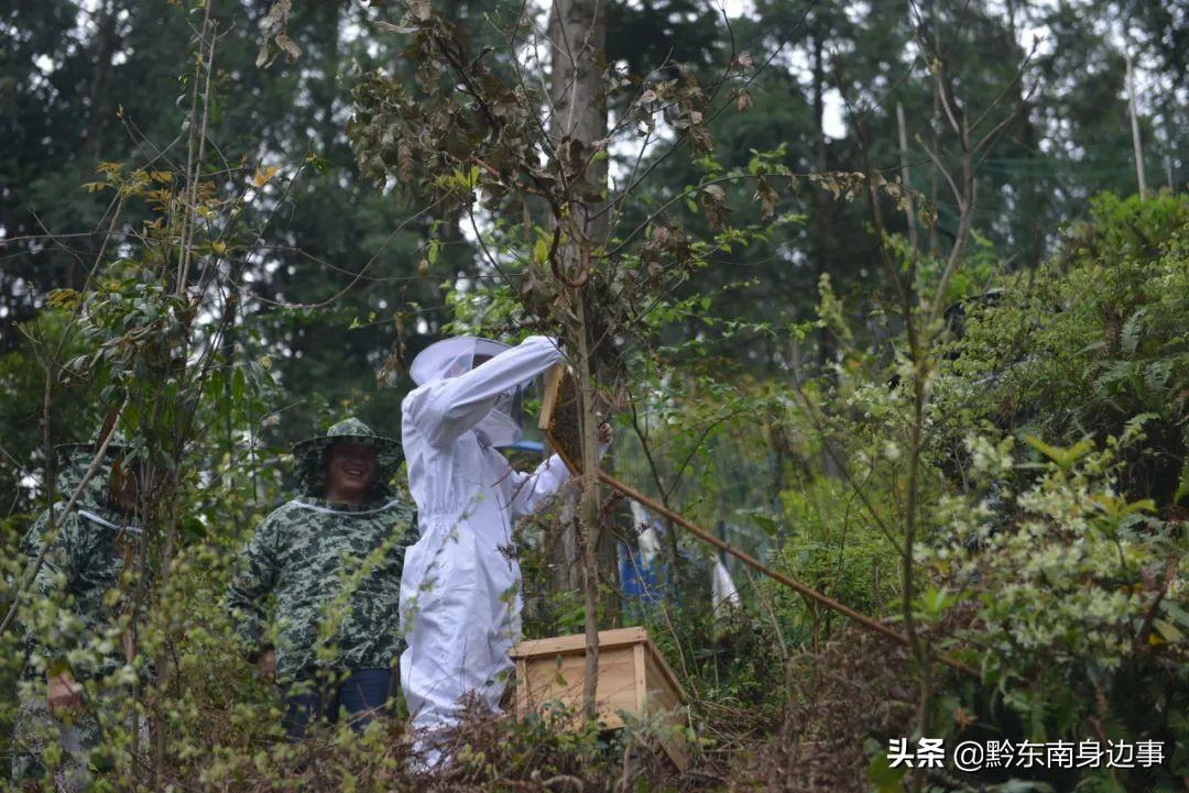 致敬小蜜蜂老师，离别之际的深深感慨与美好回忆