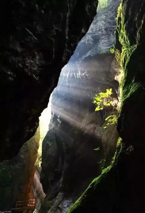 西安景区免门票传闻官方辟谣