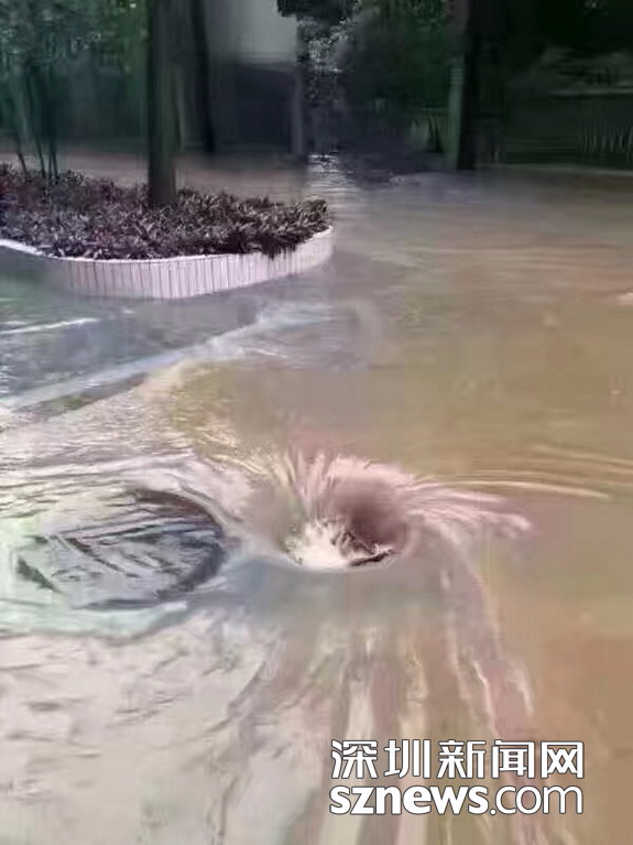 深圳街道遭遇海水倒灌，城市挑战重重