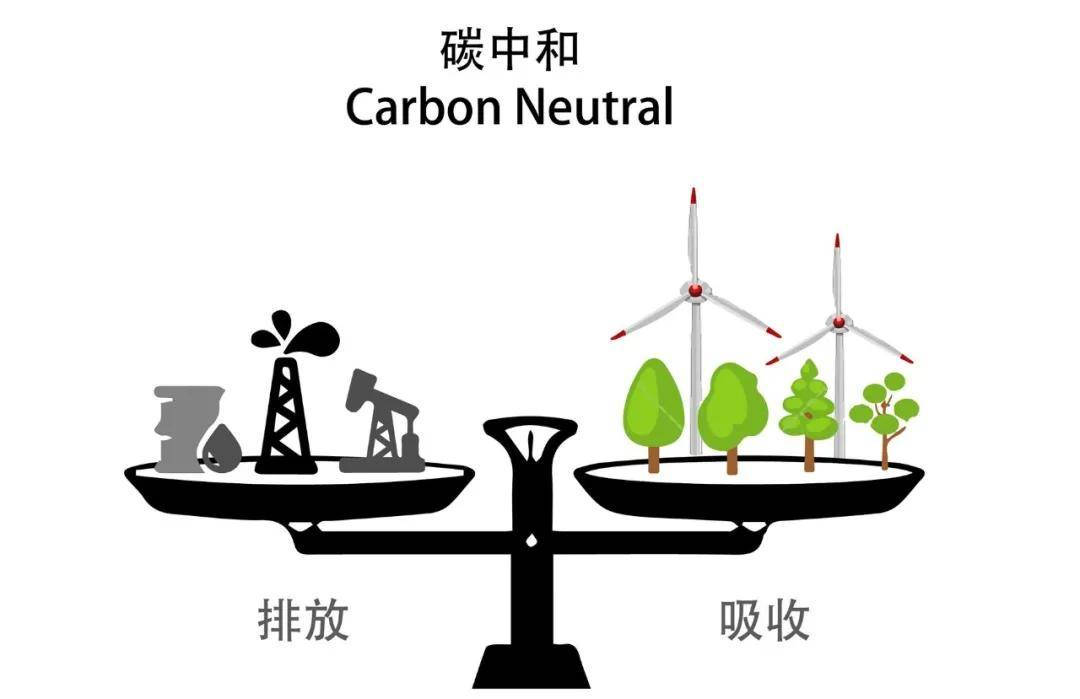 碳中和目标引领低碳产业链，构建可持续发展新篇章