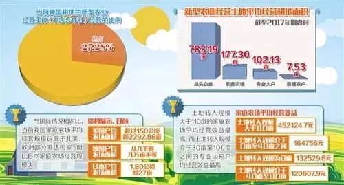 农村土地流转政策优化探索与实践