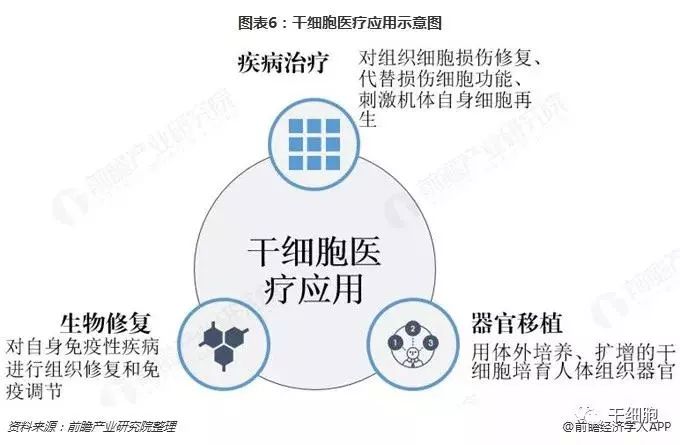 儿童药品研发加强，新希望照亮儿童健康市场