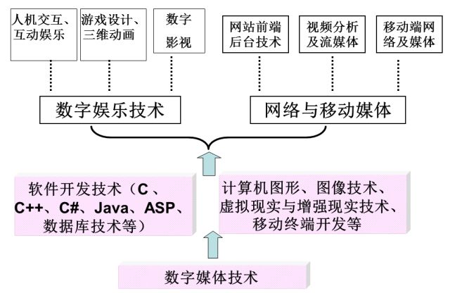 数字科技引领流媒体娱乐行业革新之路