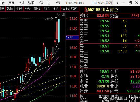 湖南黄金盘初跌停原因深度解析