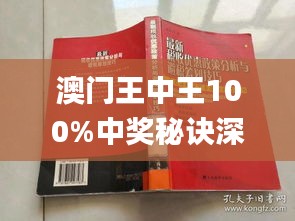 新澳门王中王100%期期中,路径掌控高效升级_宏瞻版62.38.91