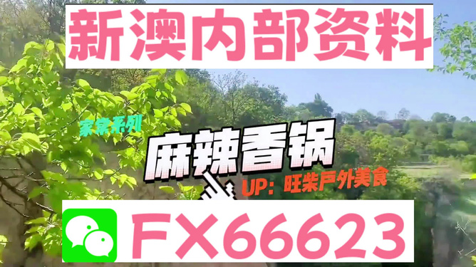 新澳精准资料免费提供,智慧驱动解决数字化方案_跃升版44.63.77