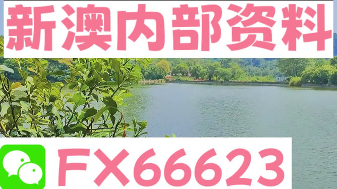 新澳精准资料免费提供265期,科学方法精准提升_智航版77.68.70