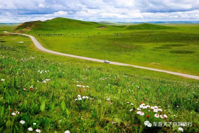 畅游中国大草原，草原风情绝佳体验地