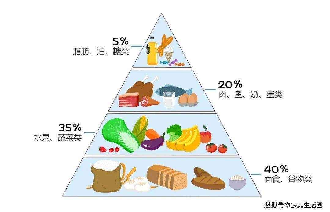 均衡营养，提升免疫力的关键要素