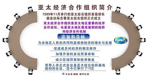 亚太经济合作会议聚焦区域贸易便利化，深化区域一体化进程的关键路径