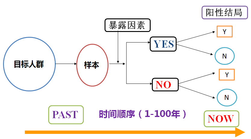 2024年12月4日 第64页