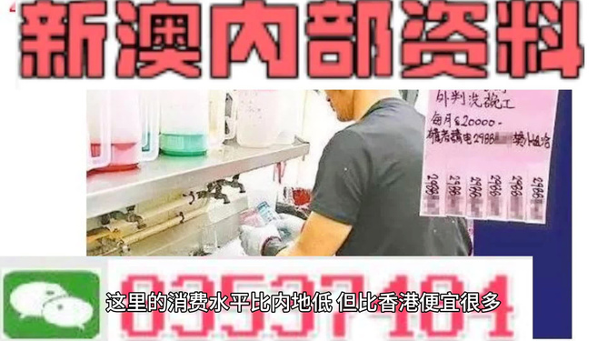 新澳内部资料最准确,高效方案资源布局案_巅峰版87.19.33