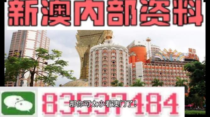 澳门内部资料精准大全2023,激发技术创新活力_智汇版44.08.79