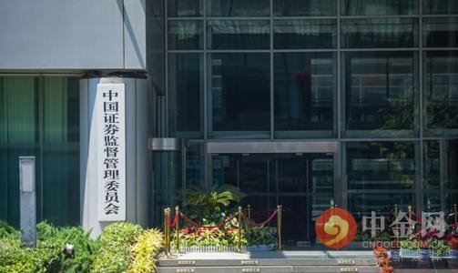 政策提振市场信心，激发经济新活力，引领发展新篇章