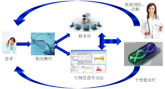 生物信息学助力精准医疗的技术进步