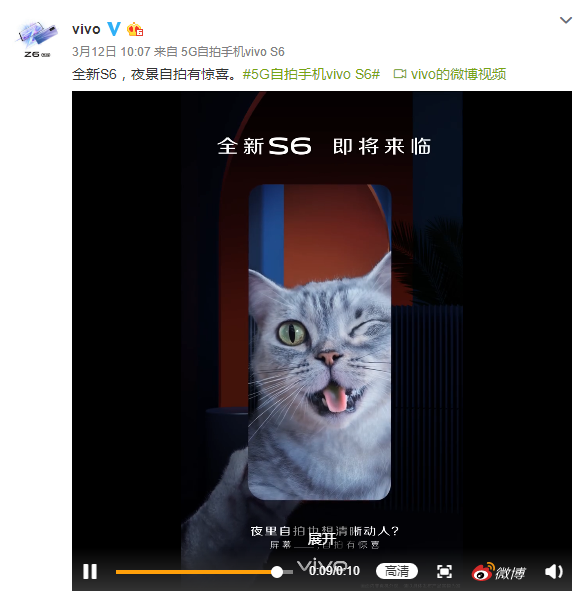 网曝多人合伙骗领虐猫事件，道德败坏与社会责任缺失的警钟