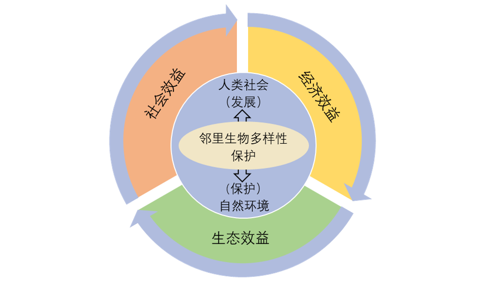 生态旅游热潮带动环保与经济共赢之路的探讨