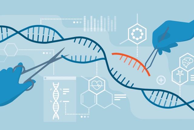 基因编辑技术突破引发科学伦理界限新讨论