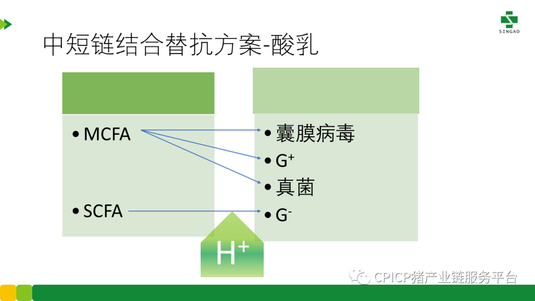 新奥门特免费资料大全1983年,实地解析说明_XP14.985