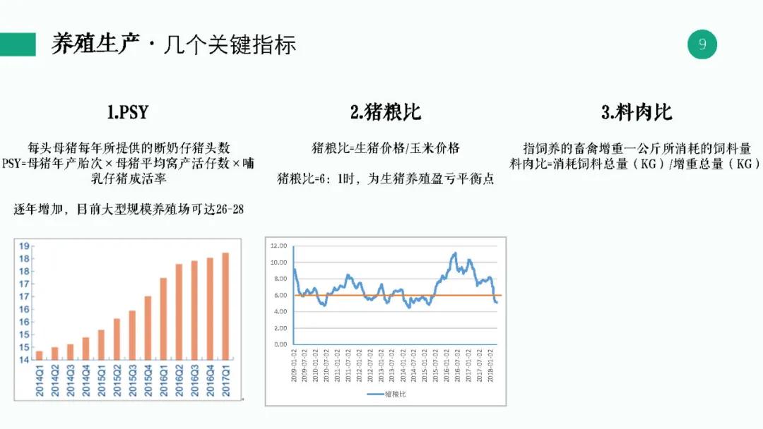 新澳天天开奖资料大全62期,理论分析解析说明_经典版83.975