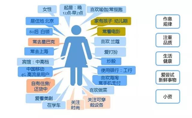 新澳精准资料内部资料,深入数据解释定义_W49.152