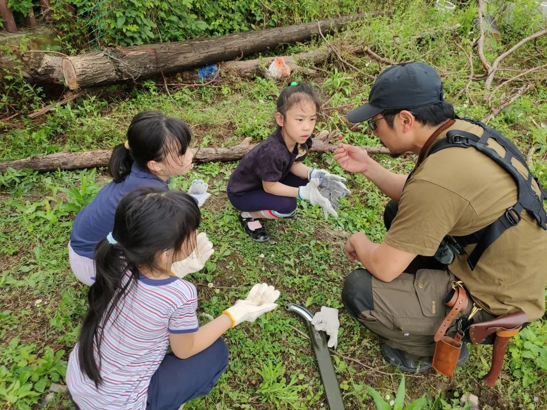 野外美味之旅，从森林采摘到品尝的探险之旅