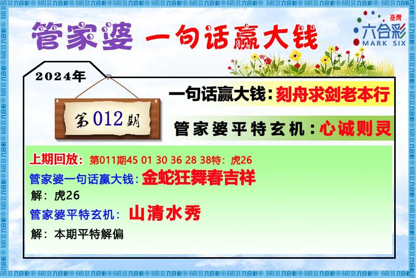 管家婆的资料一肖中特46期,真实解答解释定义_专属版82.161