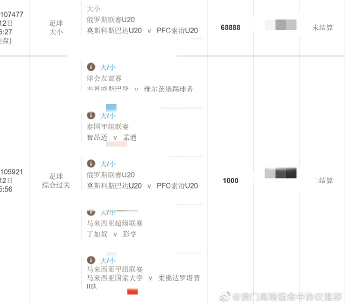 澳门正版资料全年免费公开精准,高效策略设计解析_战略版32.900