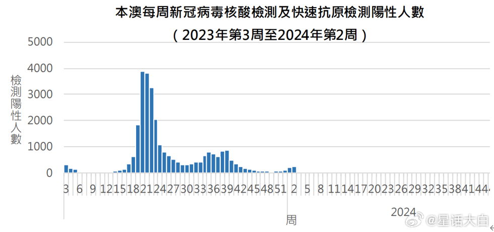 新澳门今晚开奖,实地分析数据计划_Phablet48.324