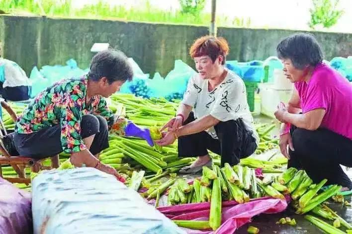 乡土艺术与现代认知，全球化背景下的文化反思