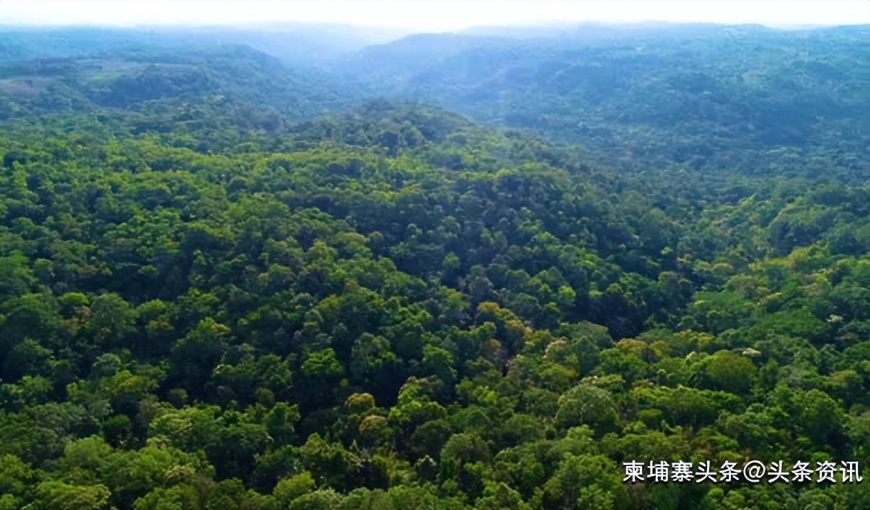 野生动物保护区管理面临的现实挑战