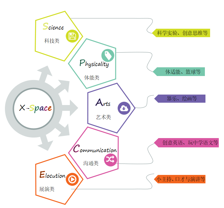 学科兴趣对学生未来选择的影响力探究