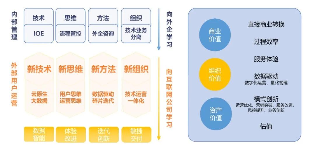 金多宝论坛一码资料大全,全面数据执行方案_MP22.115