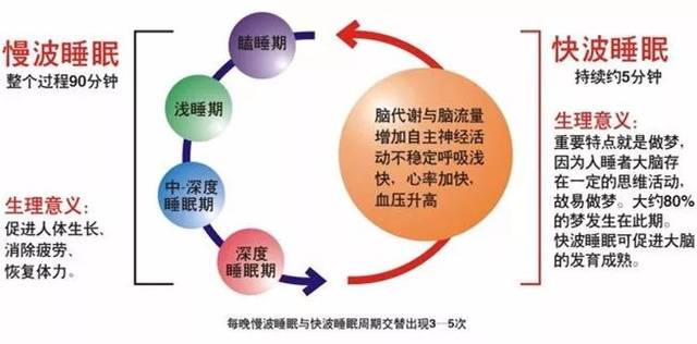 优质睡眠对学习效率的长期积极影响