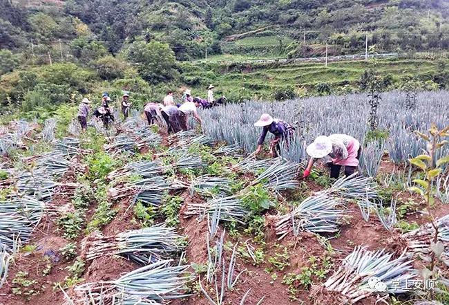 教育公平，农村孩子脱贫致富的助推器