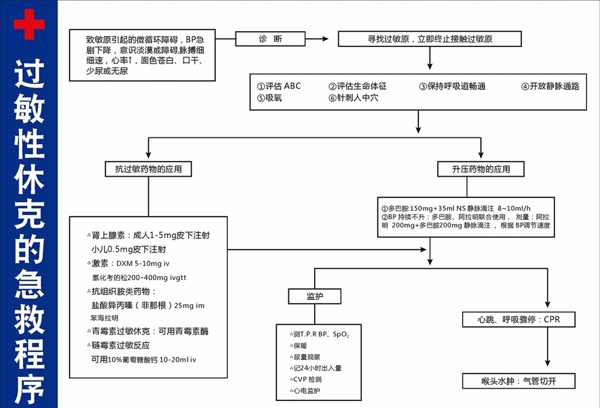 家庭急救应对过敏性休克的方法与策略