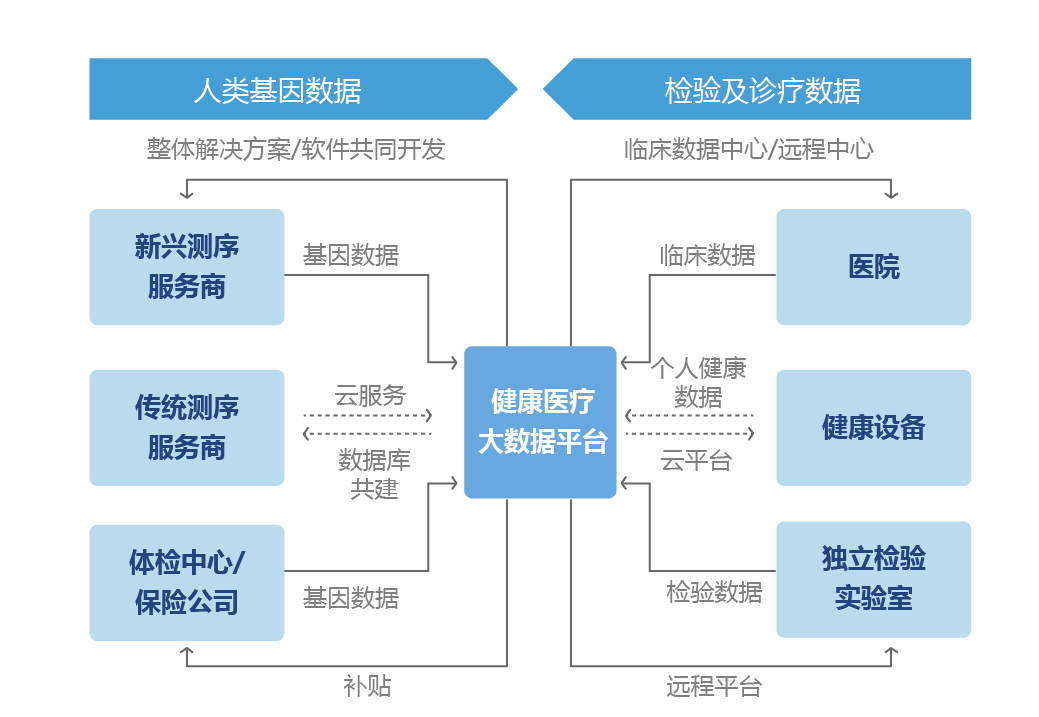 医疗健康大数据，引领疾病防控新力量崛起