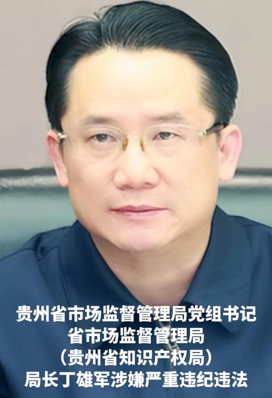 茅台原董事长丁雄军被查，背后真相与启示探究