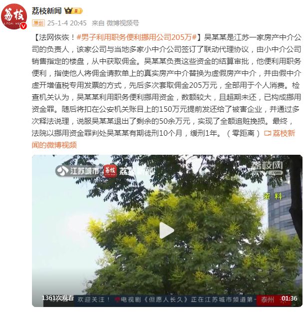 男子挪用公款205万获刑，警示案例与反思