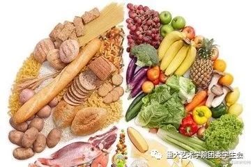 如何通过食物增强免疫细胞活力