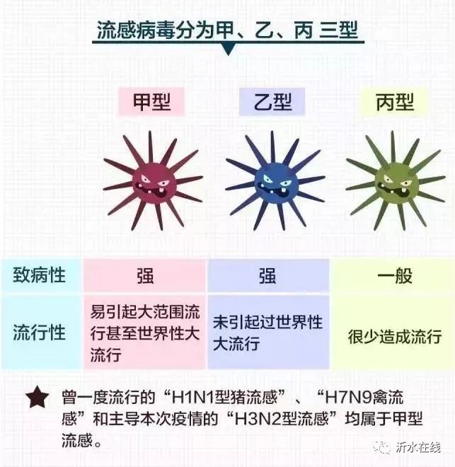 流感活动水平预测下降，了解、预防与应对策略（1月中下旬）