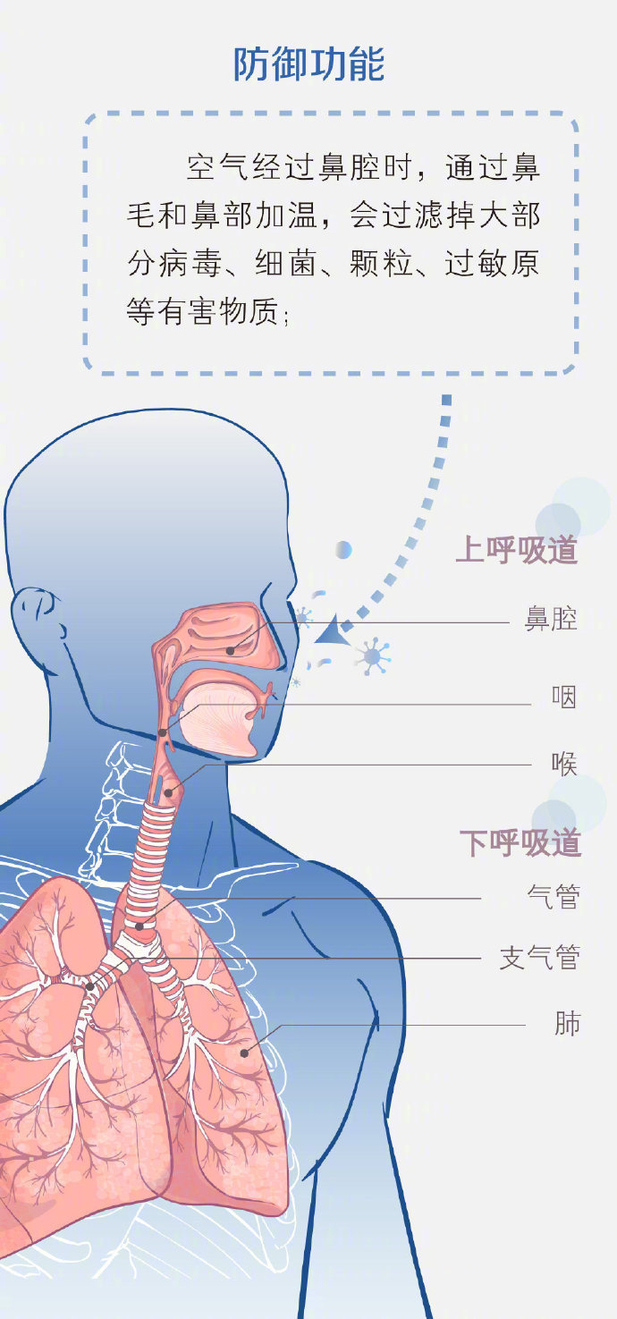 旅行中如何保护呼吸道健康的小妙招